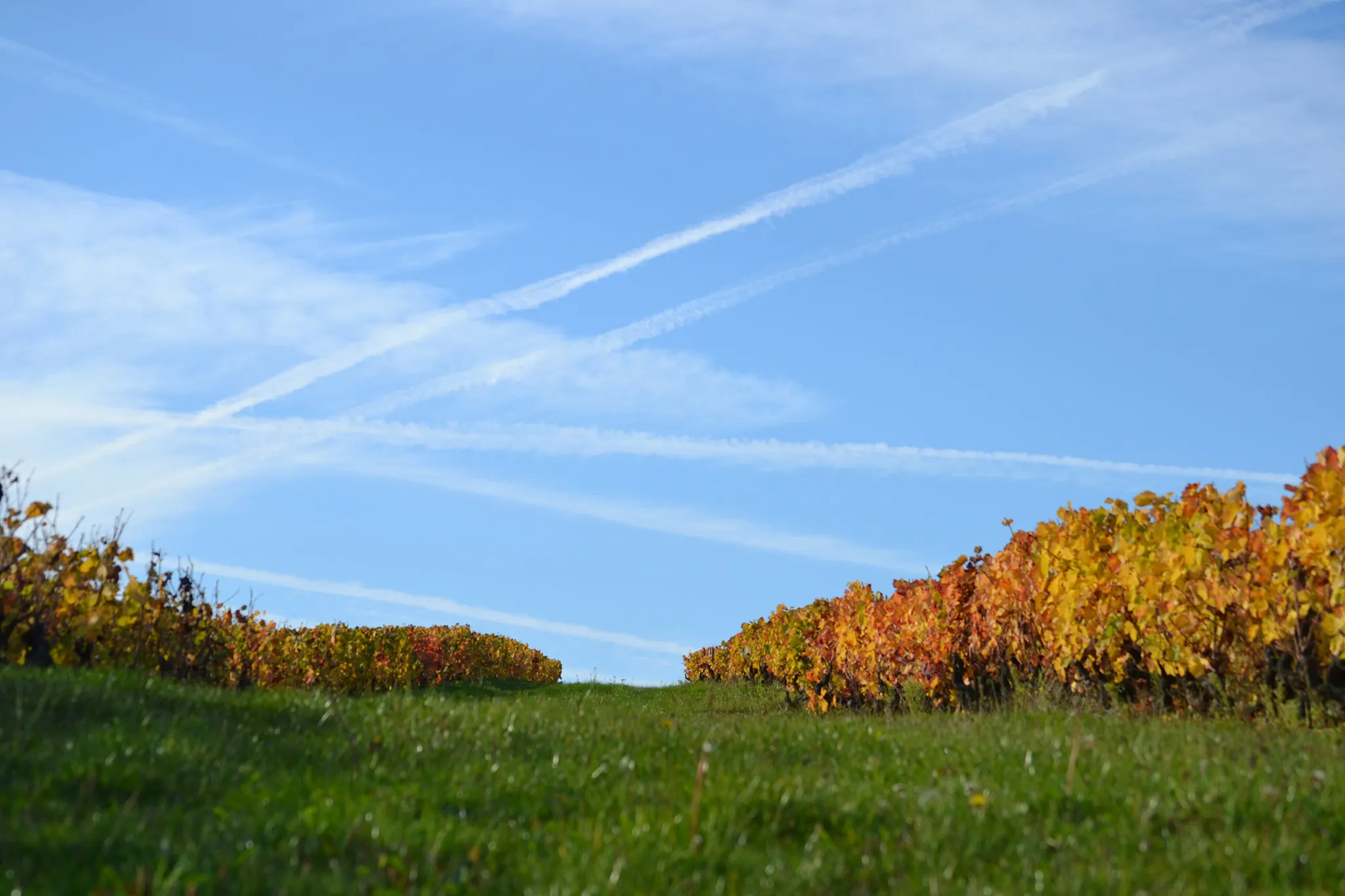 Domaine des Ravinets Romain Spay