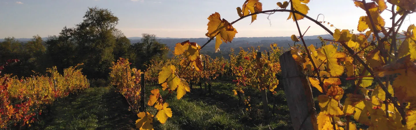 DOMAINE DES TERRASSES