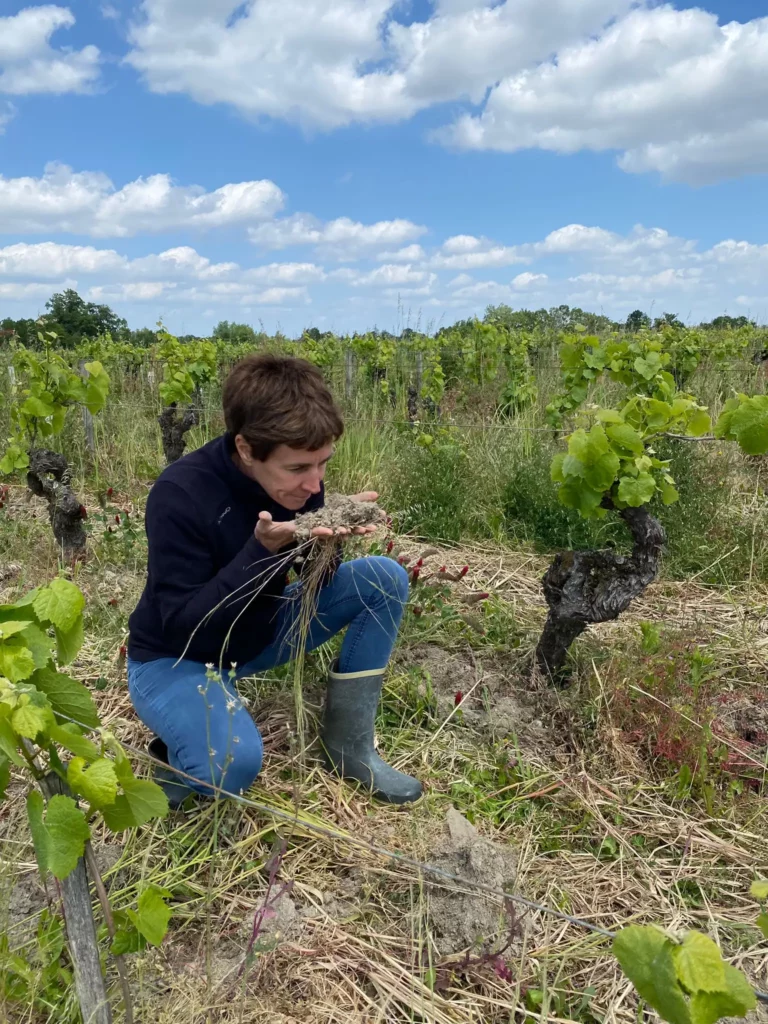 Photo de Domaine des Trois Toits