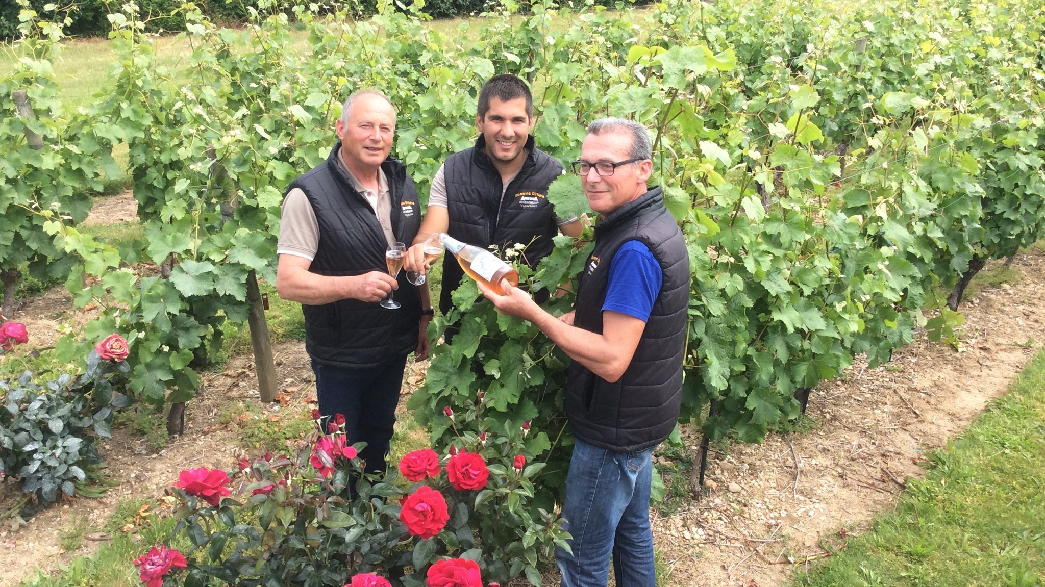 Bandeau DOMAINE DITTIERE