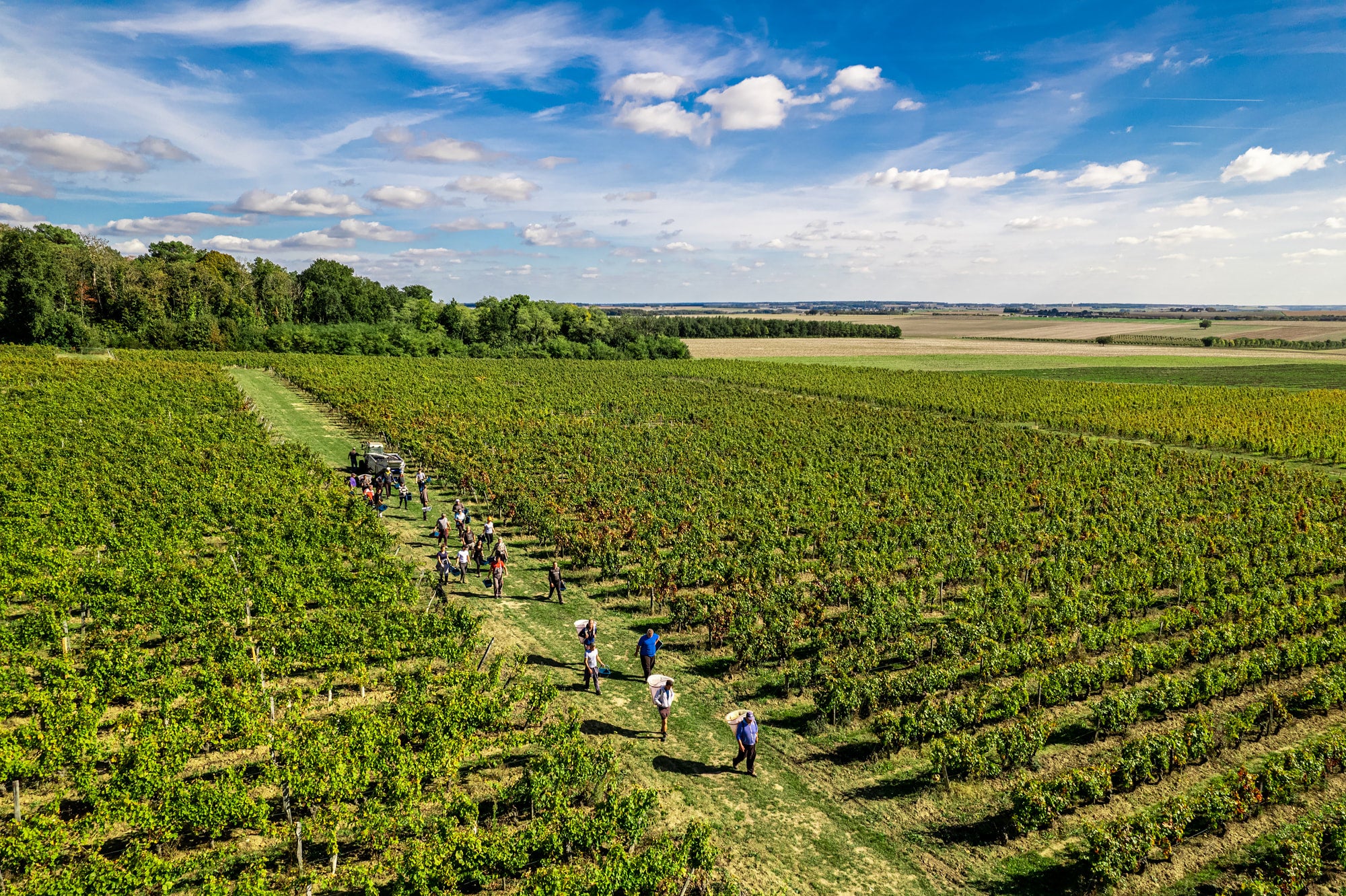 DOMAINE DOZON - ERIC SANTIER