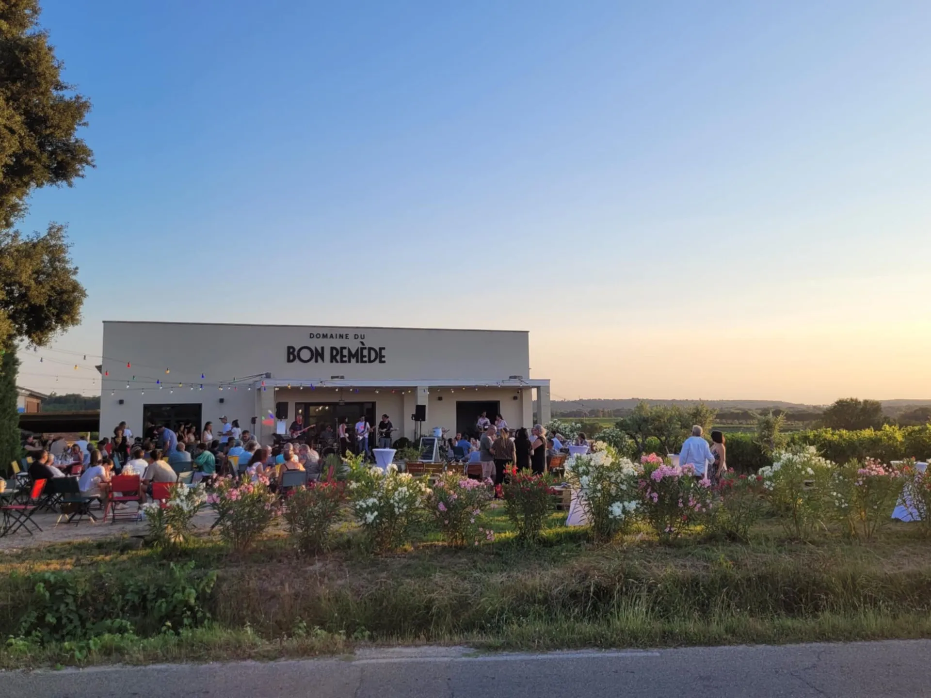 Domaine du BON REMEDE Fréderic DELAY