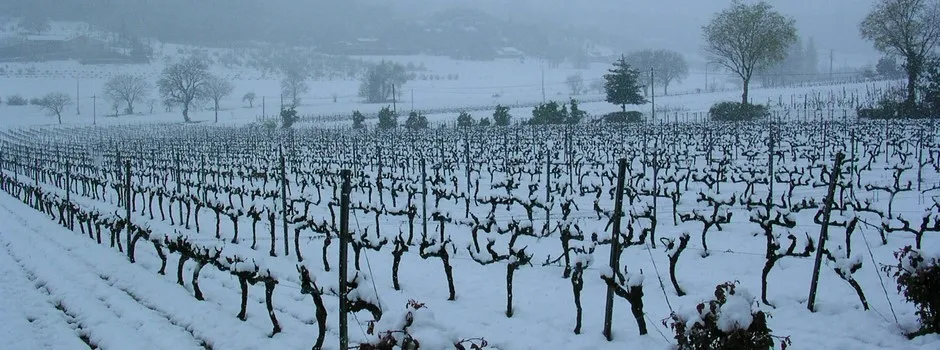 Domaine du CHATEAU VIEUX – ROUSSET Fabrice