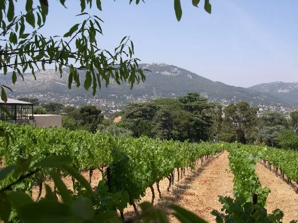 DOMAINE DU CLOS LAMALGUE