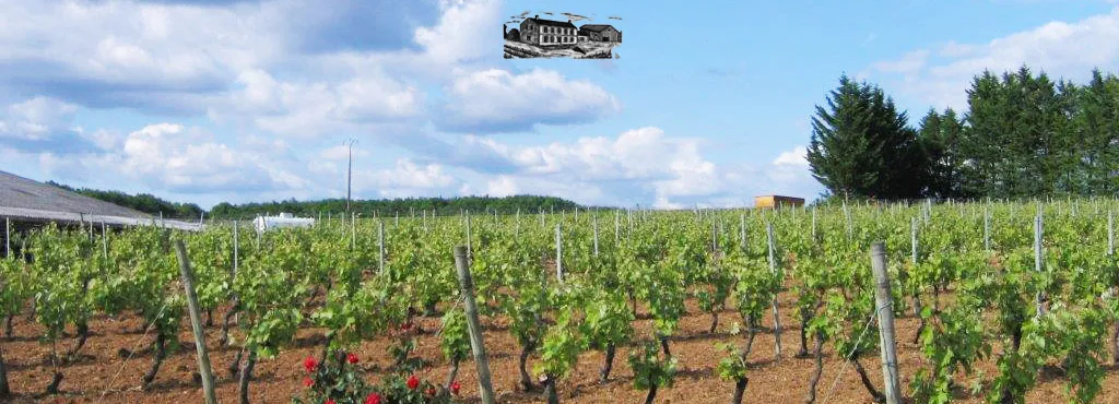 Domaine du Grand Lopin