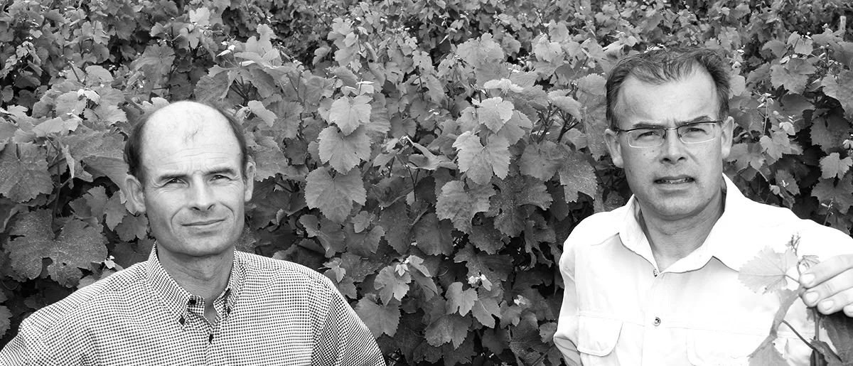 Photo de DOMAINE DU LOGIS DES NOELS