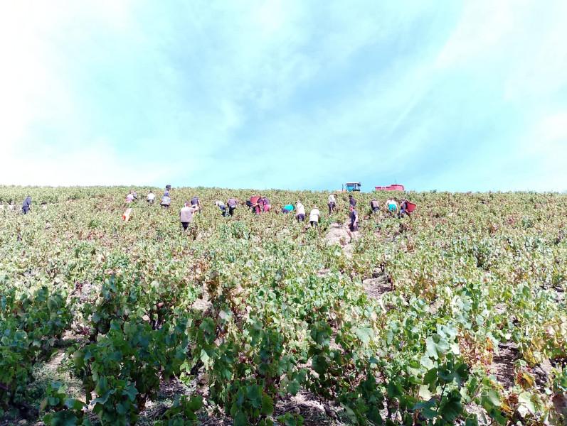 Domaine du Père Lathuilière