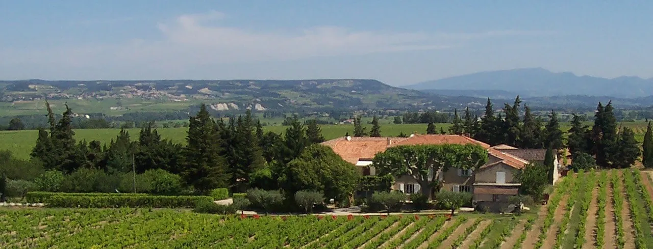 DOMAINE DU TERME - DOMAINE RICHÉ