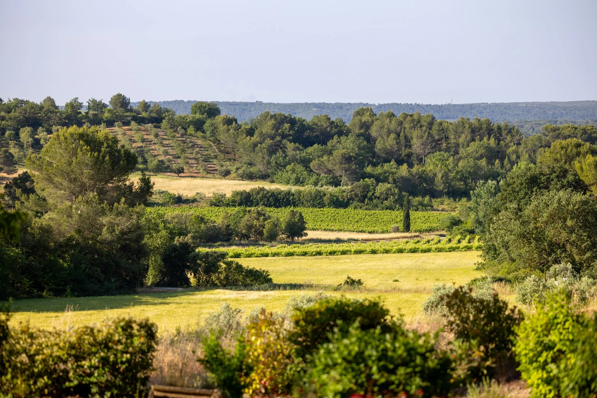DOMAINE DU VAL DERNIER