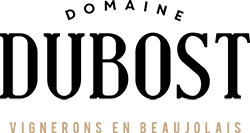 Logo Domaine Dubost