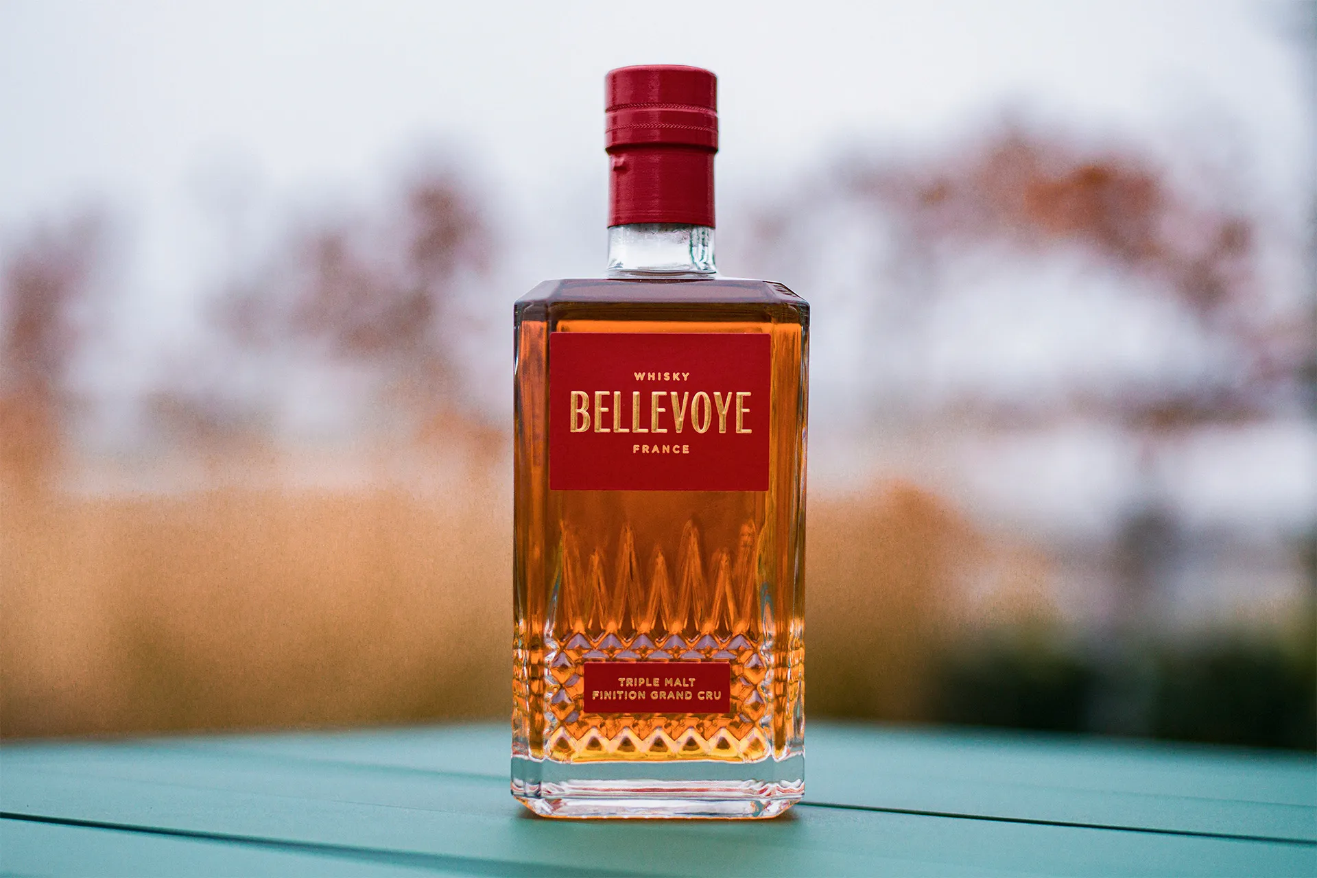 Photo de DOMAINE DUCLOT