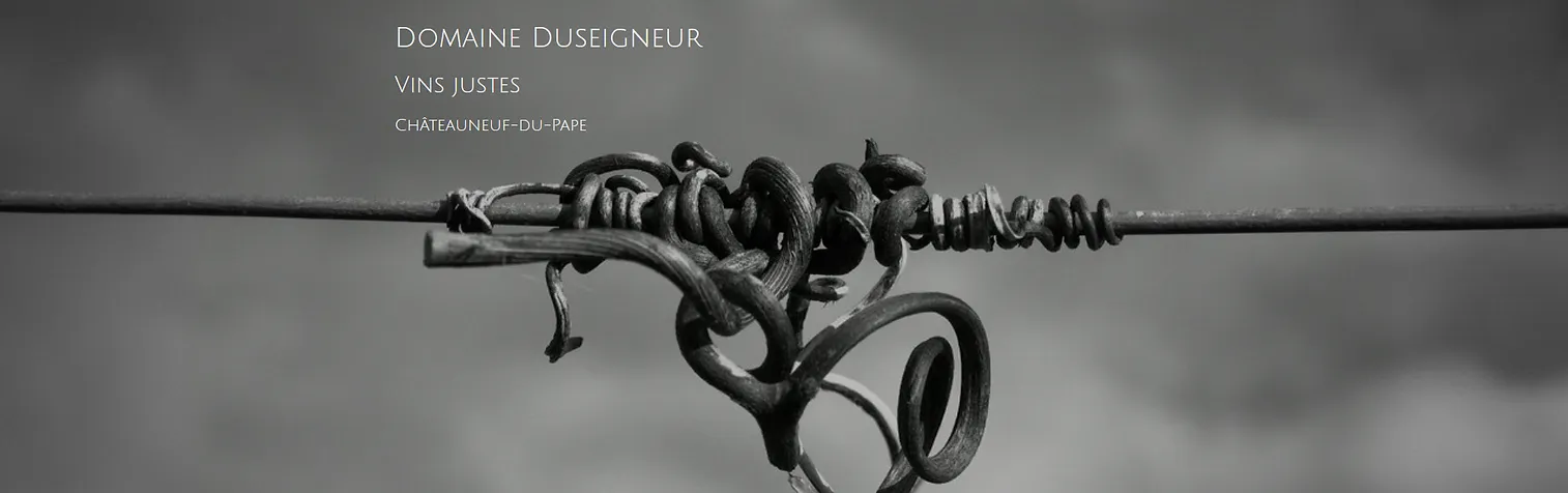 Bandeau Domaine Duseigneur