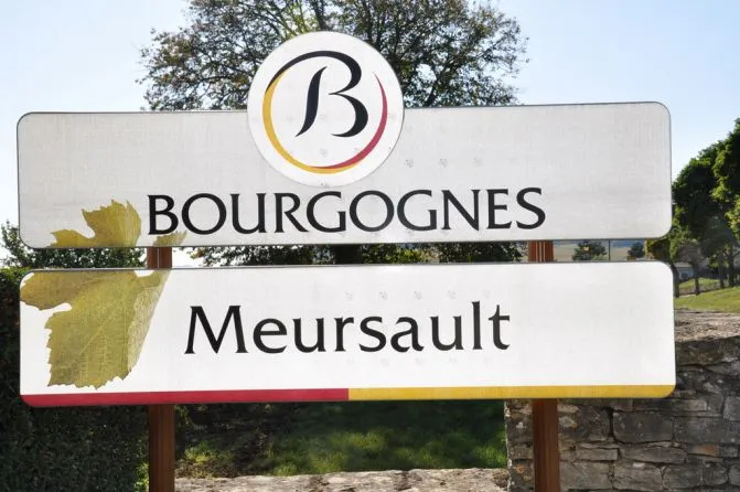 DOMAINE DUSSORT SYLVAIN