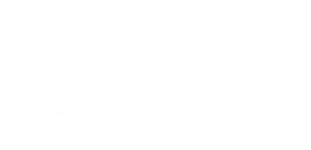 Logo Domaine Fond Moiroux Sylvie et Bertrand NEUSCHWANDER