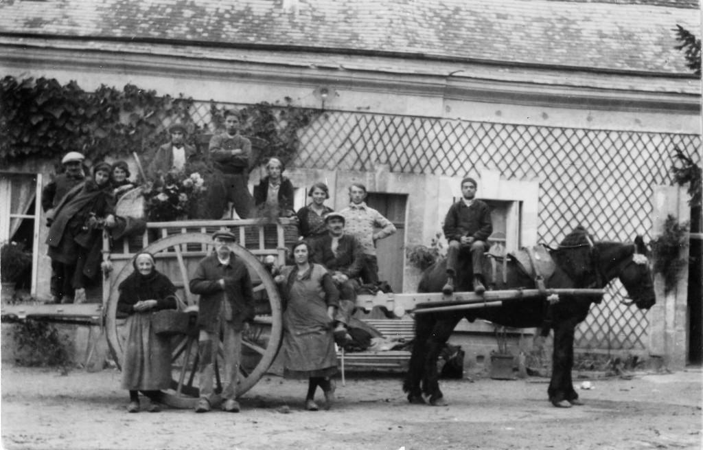 Domaine François et Julien Pinon