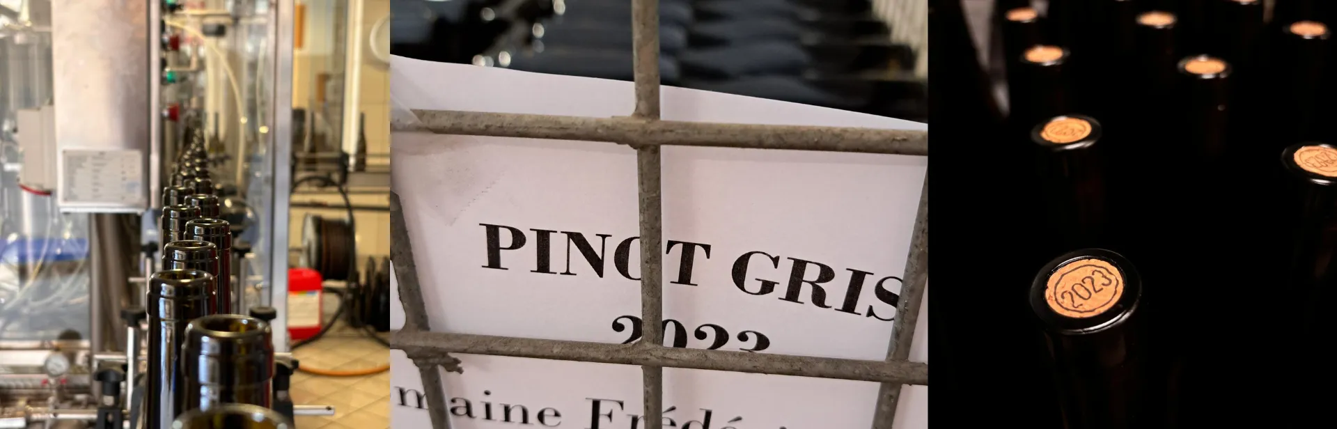 Bandeau DOMAINE FREDERIC MOCHEL