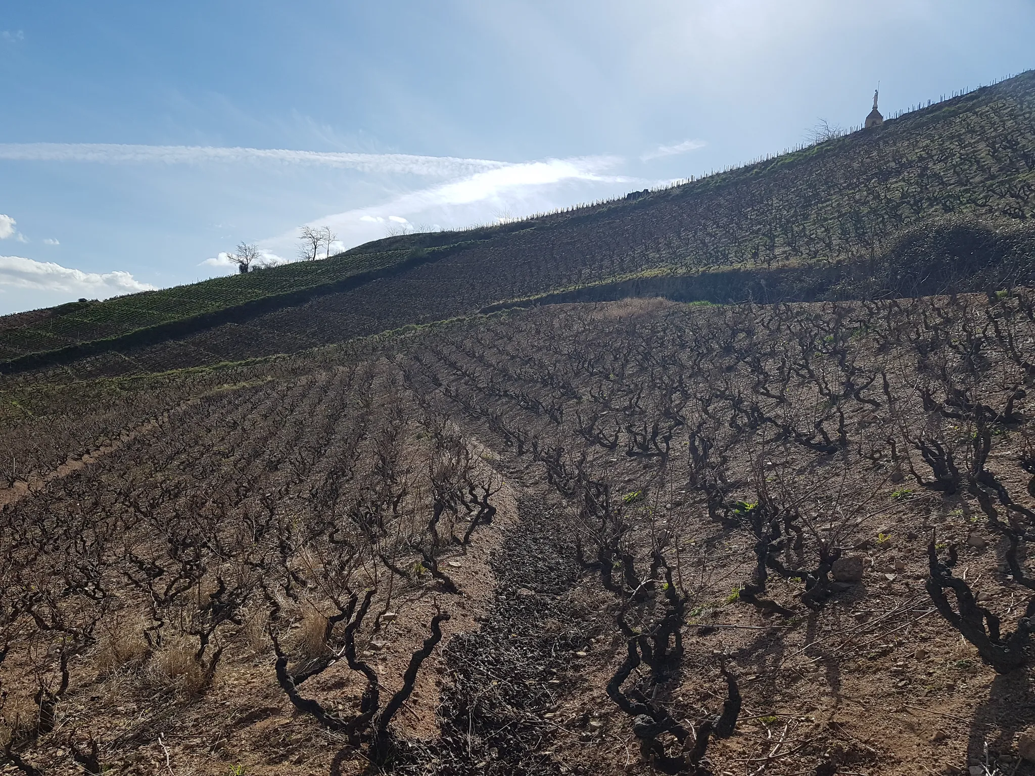 Bandeau Domaine Gaël Martin