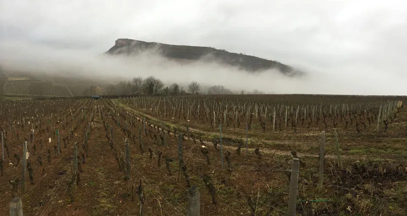 Bandeau Domaine Gilles Guerrin