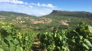 Logo Domaine Gilles Guerrin