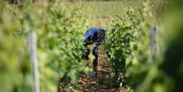 Photo de Domaine Gouffier