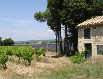 Bandeau Domaine Gris des Bauries