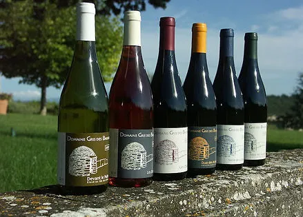 Photo de Domaine Gris des Bauries