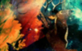 DOMAINE HAUTS DU CLOS