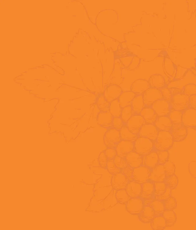 Photo de Domaine HUBER et BLEGER