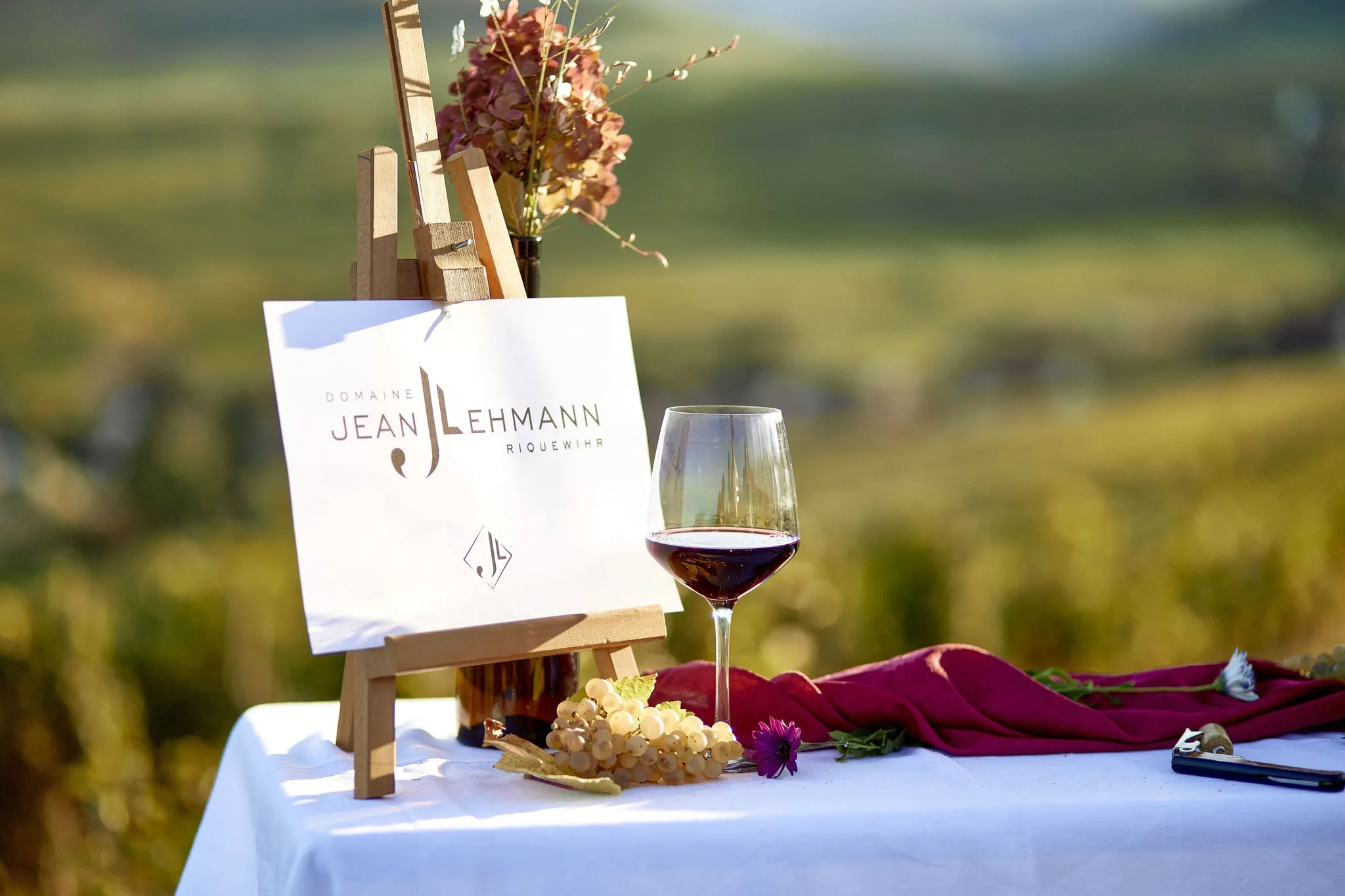 Bandeau DOMAINE JEAN LEHMANN