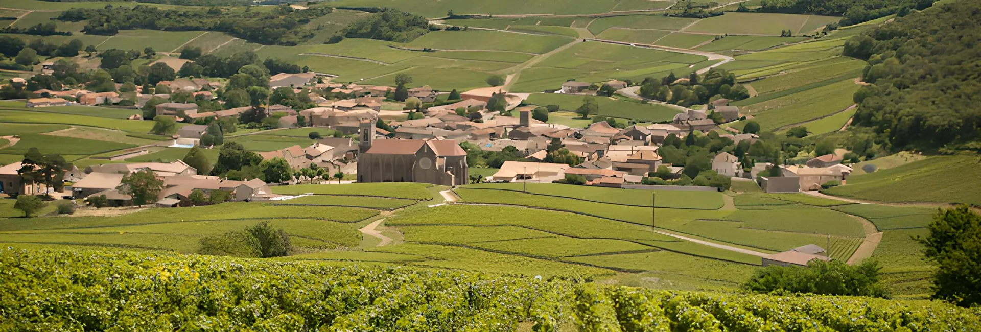 Photo de Domaine Jeandeau