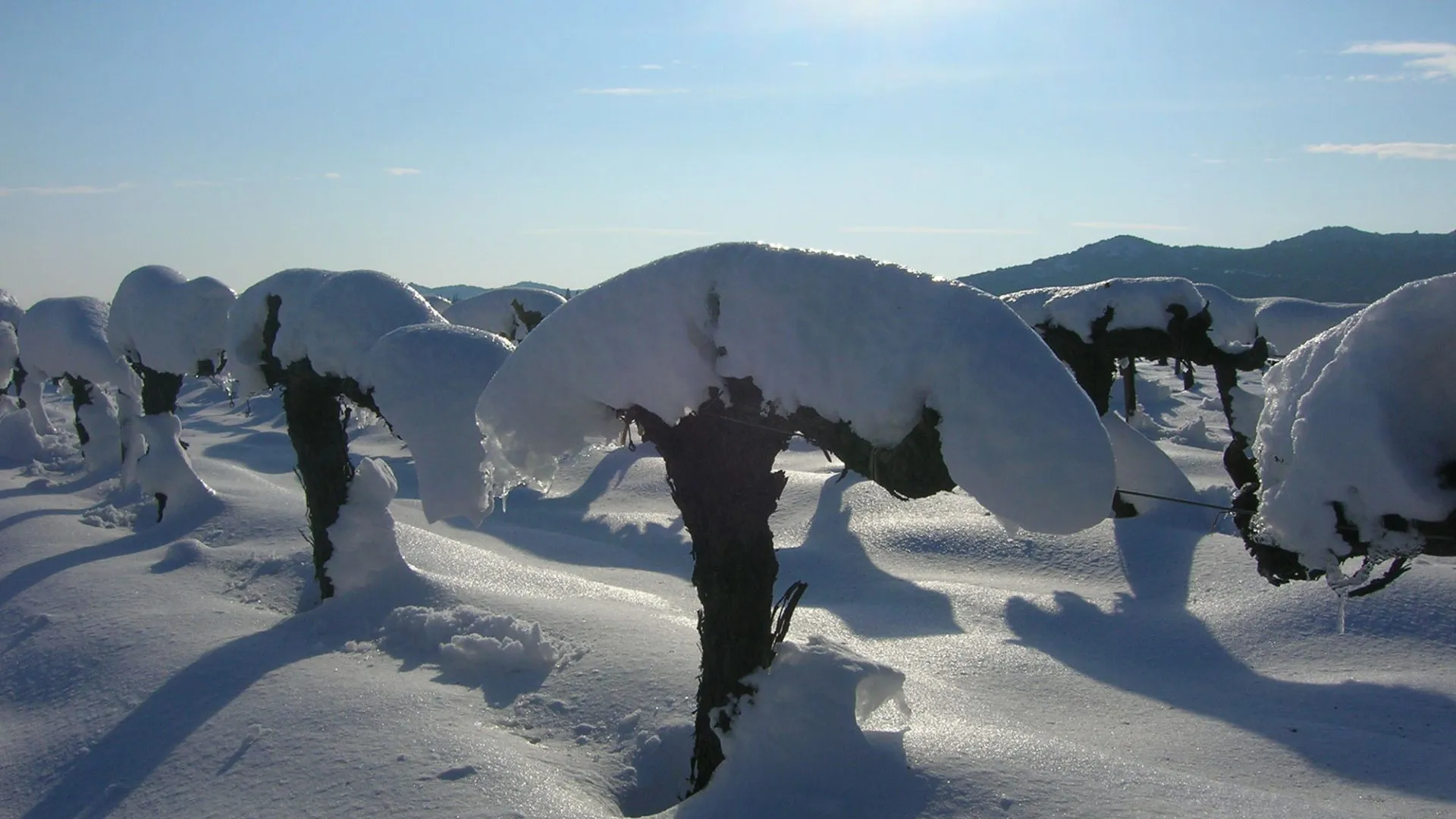 Bandeau Domaine Jocelyn Raoux