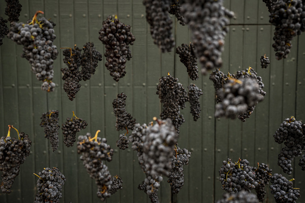 DOMAINE JONQUERES D'ORIOLA