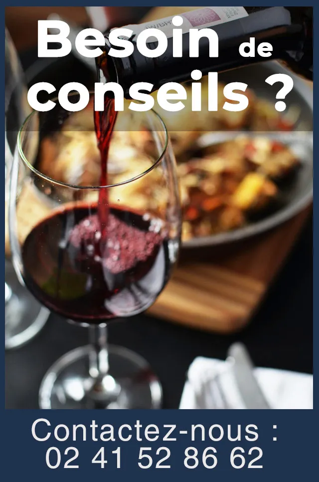 Bandeau Domaine Joseph Chamonard Jeanne, Geneviève et Jean-Claude CHANUDET