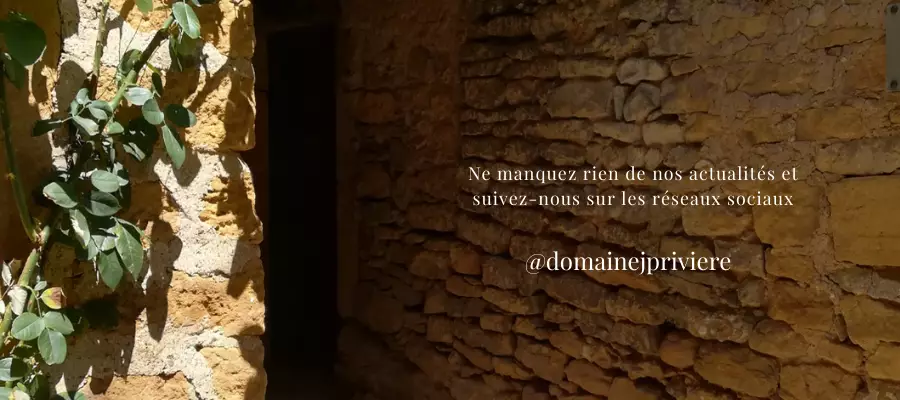 Bandeau Domaine JP Riviere Alexandre et Marine RIVIERE