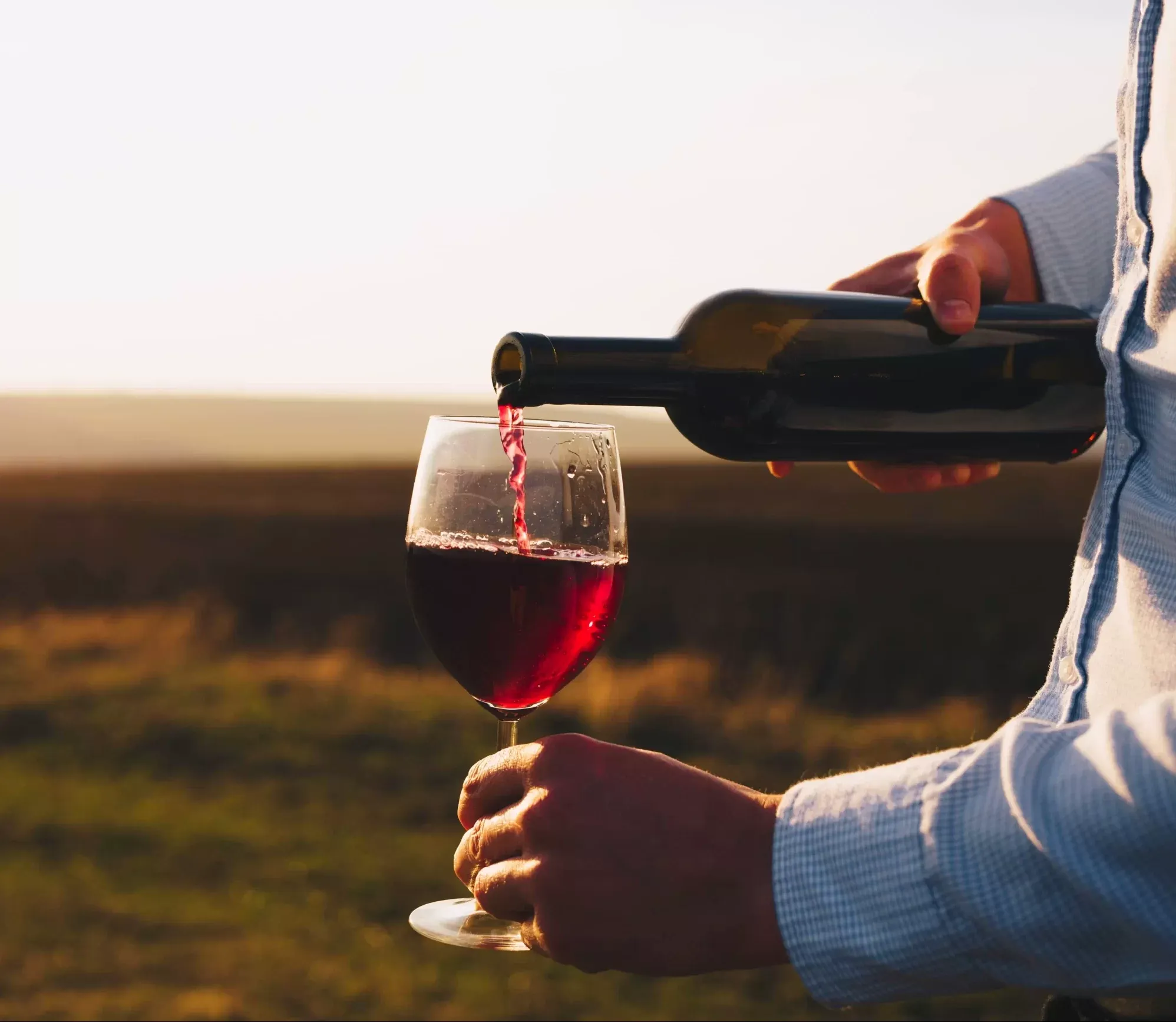 Domaine L'abbé Dîne