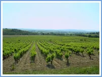 Domaine la Guintrandy