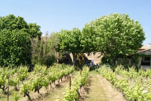 DOMAINE LA PIERRE LAINE