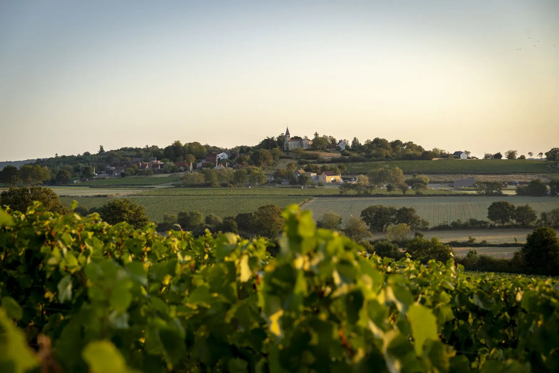 Photo de Domaine la Renarde