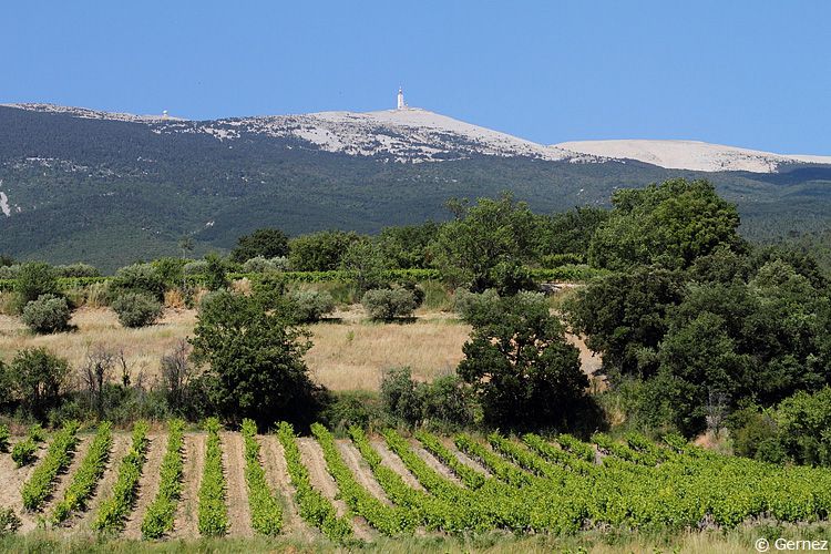 Photo de Domaine LA REVERIE Claude ROUX