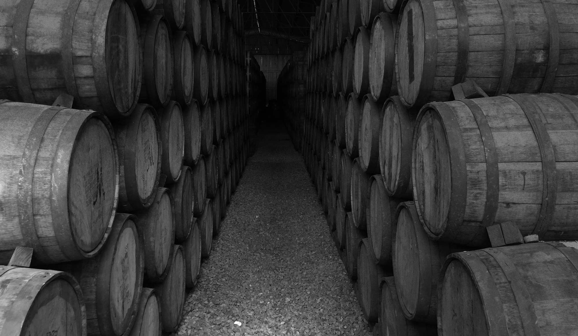 Bandeau Domaine La Suffrène