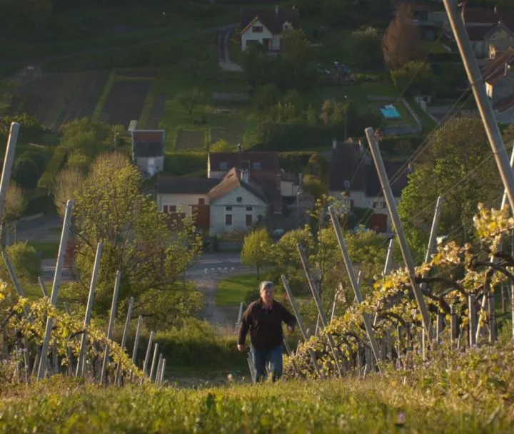 DOMAINE LABRY ANDRÉ ET BERNARD