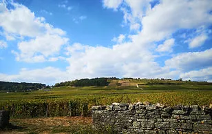 Bandeau Domaine Labry Gilles