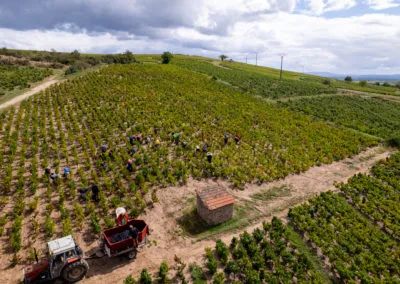 Bandeau DOMAINE le CHAPON