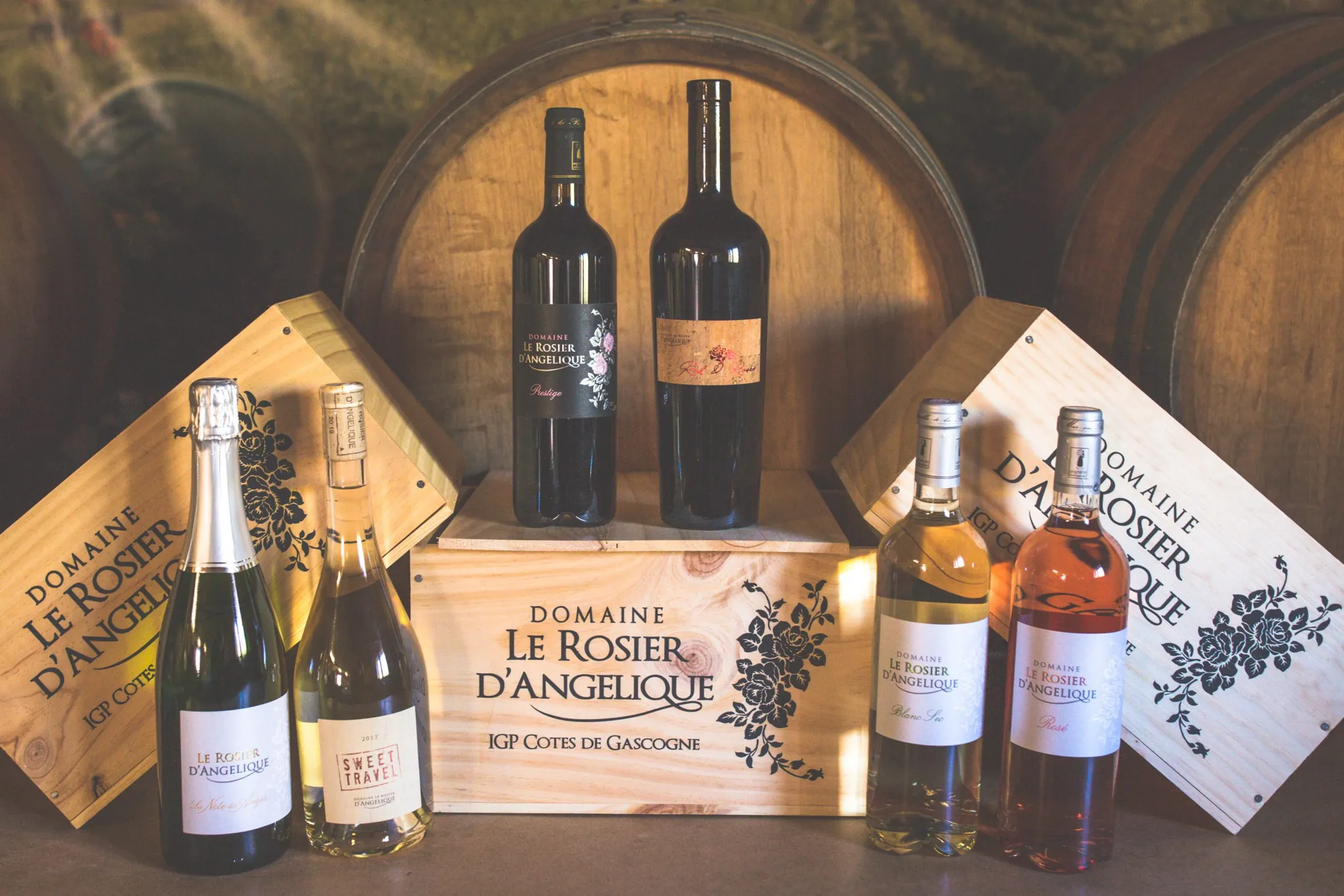 Bandeau Domaine le ROSIER D'ANGELIQUE Stéphane CORNE