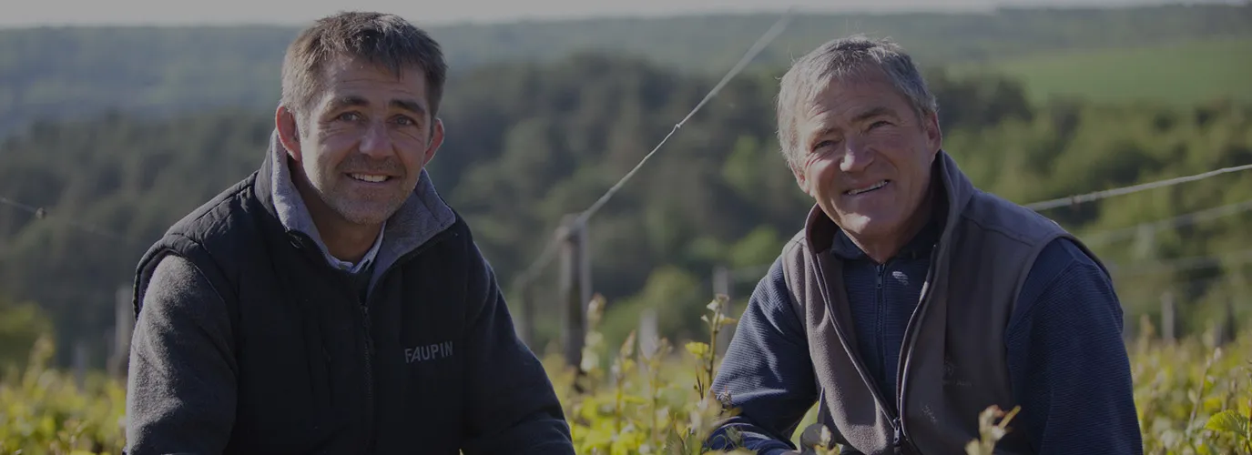 Bandeau Domaine Lecheneaut et Fils