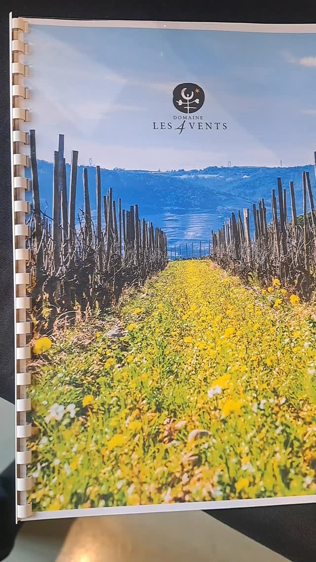 Bandeau Domaine les 4 Vents – FOUREL Lucie et CELLIER Nancy