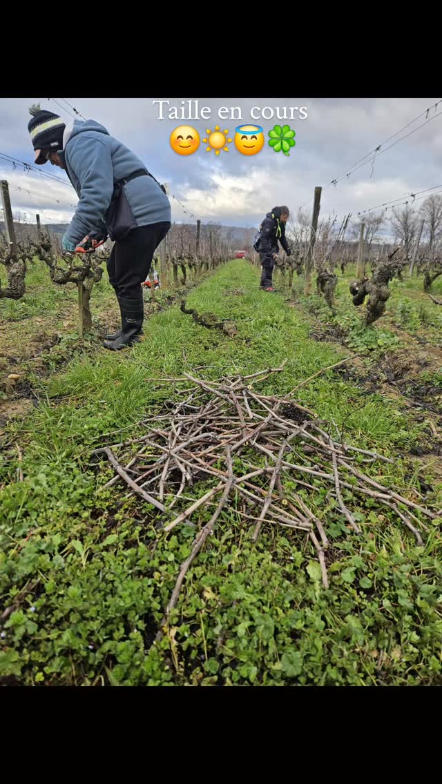Photo de Domaine les 4 Vents – FOUREL Lucie et CELLIER Nancy