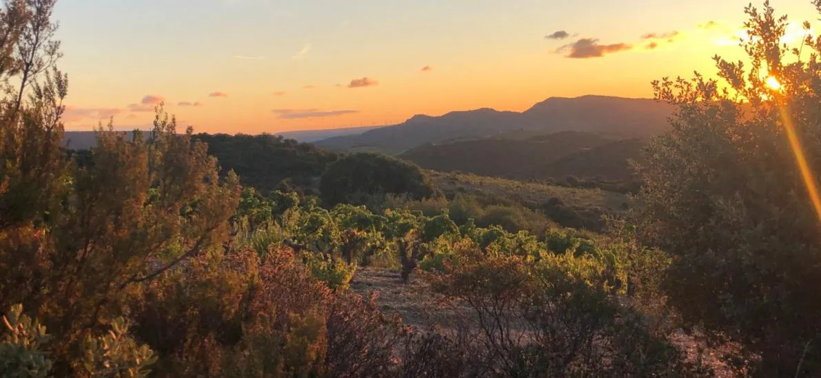 domaine Les Abrigans Laura Lees et Arthur Joly