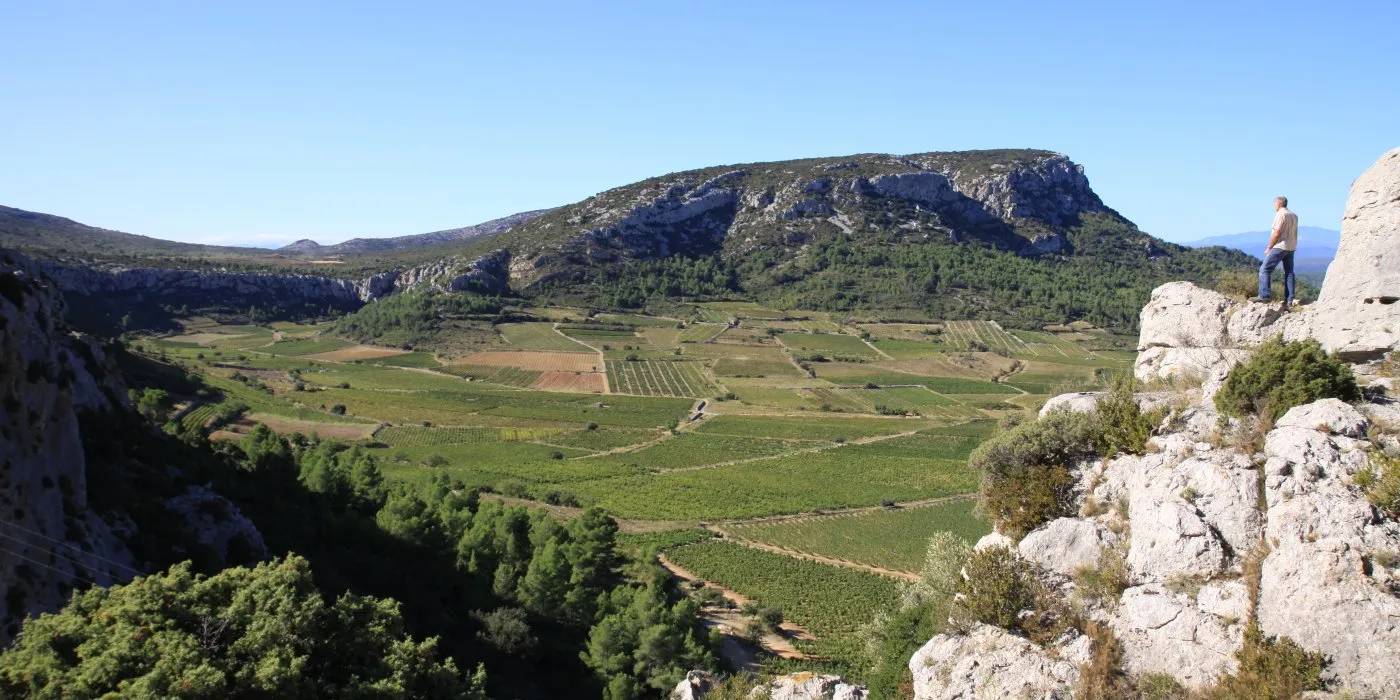 DOMAINE LES CHENES BLANCS