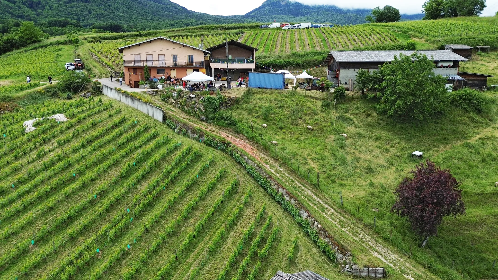 DOMAINE LES CROCS BLANCS